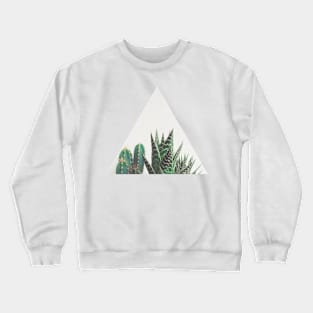 Cactus & Succulents Crewneck Sweatshirt